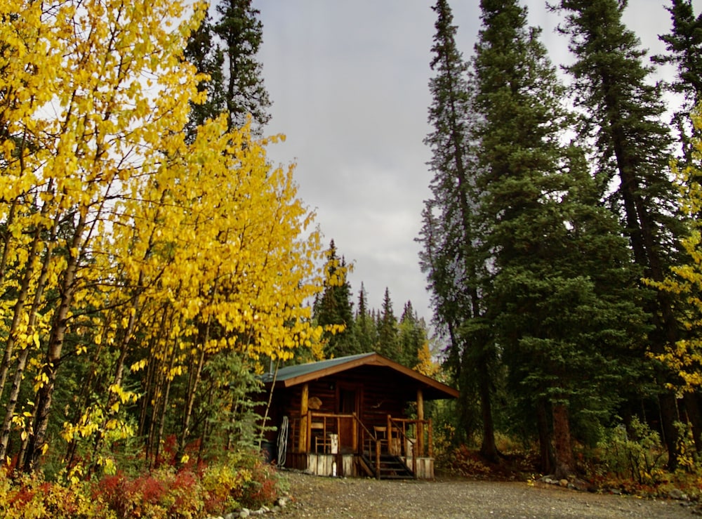 denali national park