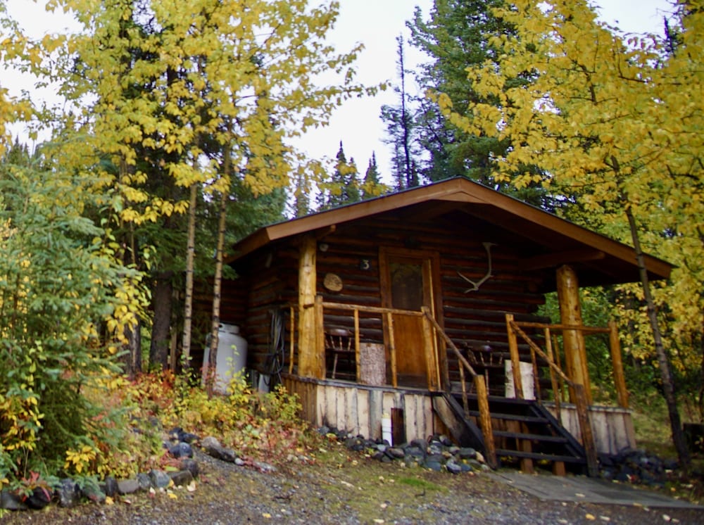 denali national park