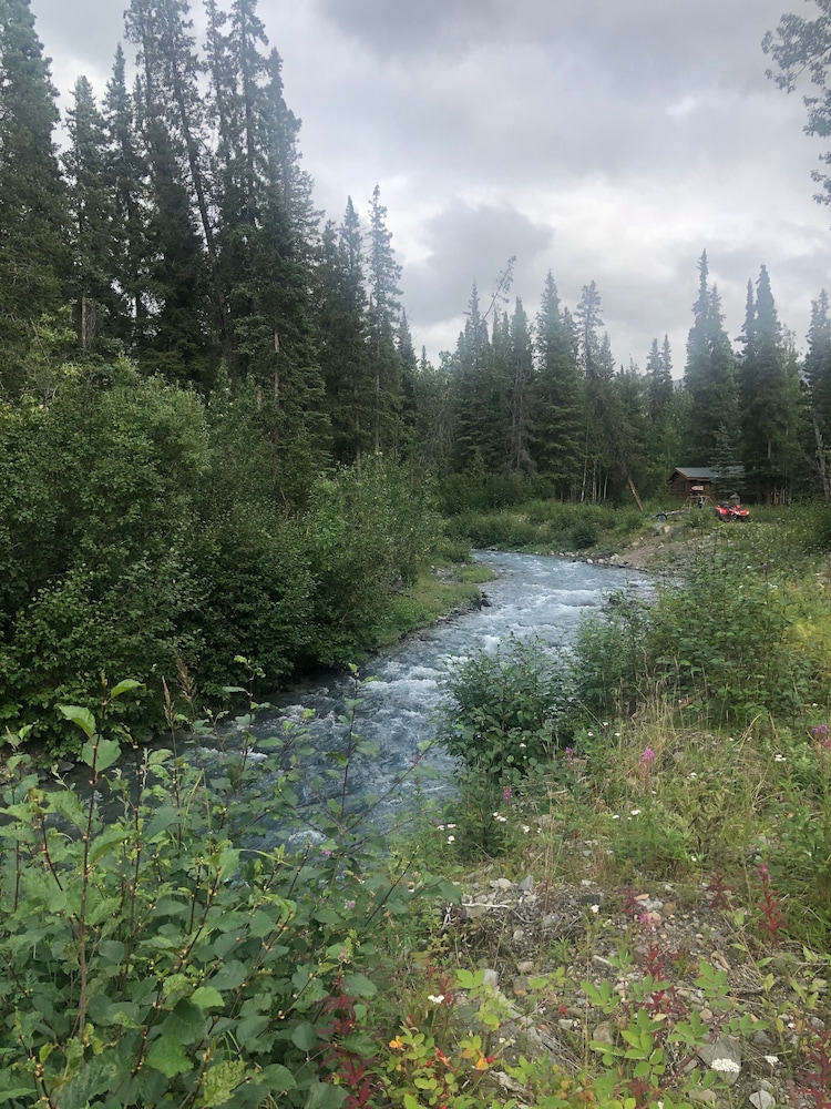 denali national park