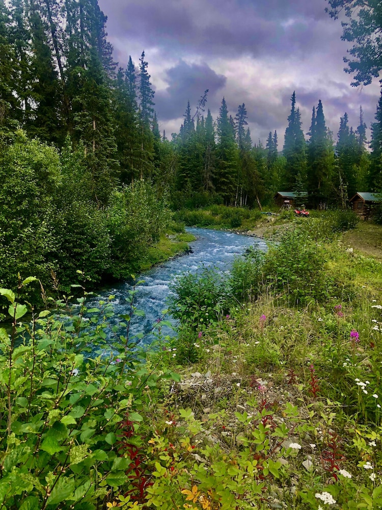 denali national park
