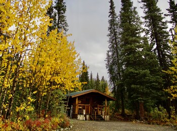 denali national park