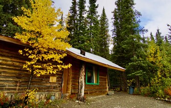 denali national park