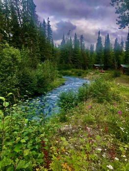 denali national park
