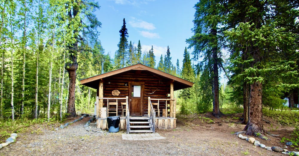 denali national park
