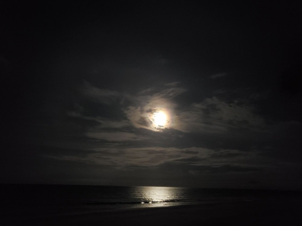 Studio 1 Motel,Holly Hill>>Daytona Beach,3 star