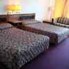 gray plaza motel