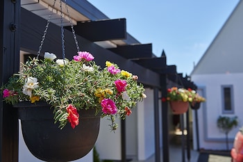 Rolleston Motel,Hamilton>>Coromandel,3 star