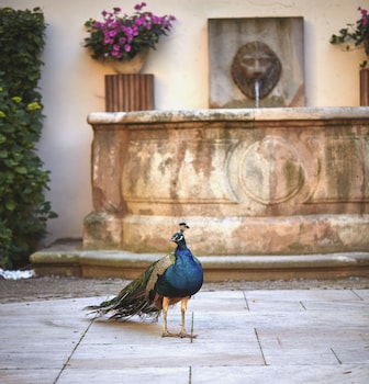 the grand mark prague