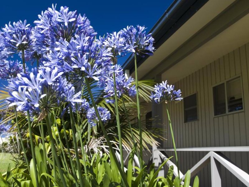 the crest apartments