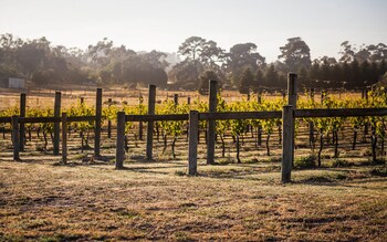 port campbell parkview motel and apartments