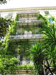 windsor hotel