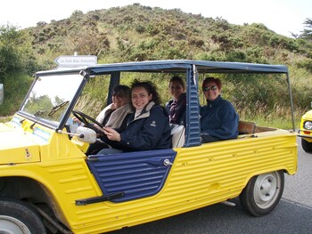 le cardinal belle ile en mer