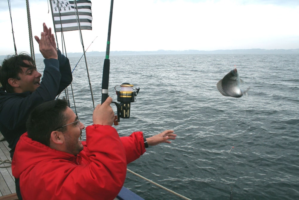 le cardinal belle ile en mer
