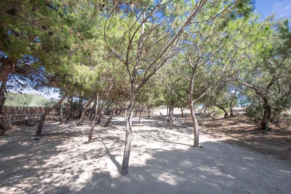 sentido orosei beach