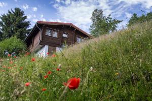 Hotel Am Sommerberg,Masserberg>>Fehrenbach,3 star