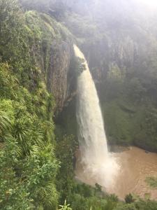 waitomo caves guest lodge