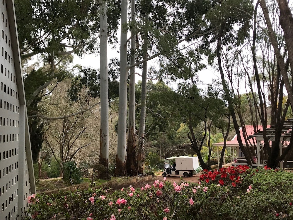 forest lodge resort