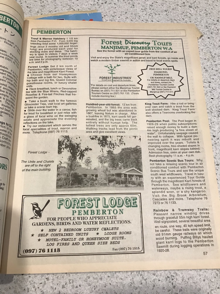 forest lodge resort