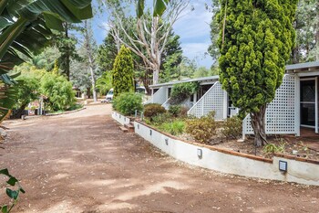 forest lodge resort