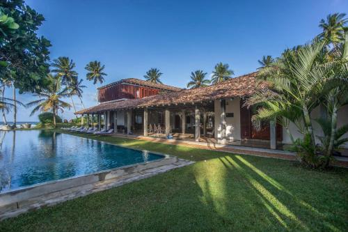 the frangipani tree by edwards collection