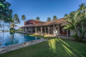 the frangipani tree by edwards collection