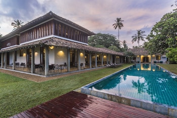 the frangipani tree by edwards collection