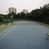 dlf club 4