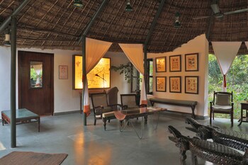 jims jungle retreat