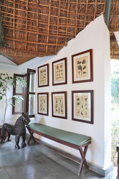 jims jungle retreat