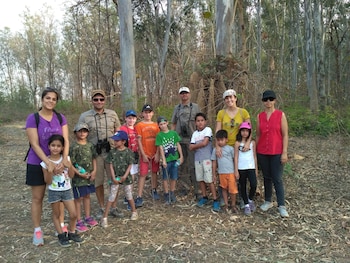 jims jungle retreat