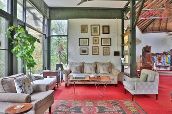 jims jungle retreat