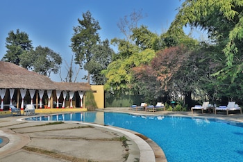 jims jungle retreat