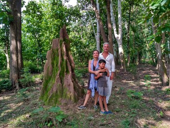 jims jungle retreat