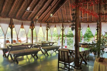 jims jungle retreat