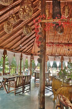 jims jungle retreat