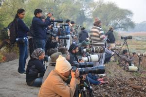 bharatpur