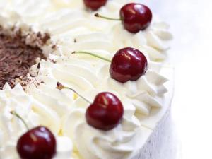 hotel engel familotel hochschwarzwald