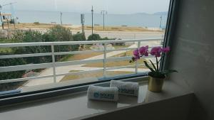 loutraki agioi theodoroi