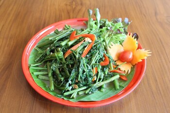 vieng mantra