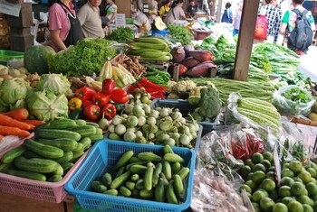 vieng mantra