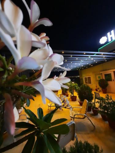 hotel temple on ganges