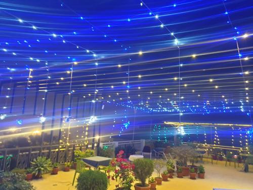 hotel temple on ganges