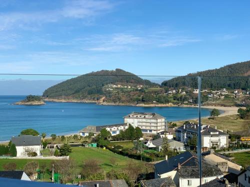 viveiro