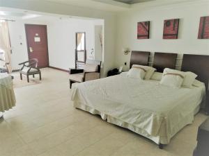 hotel plaza las americas cali