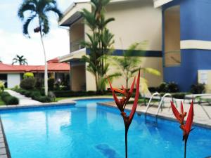 Hotel Monte Real,Arenal>>Alajuela,3 star