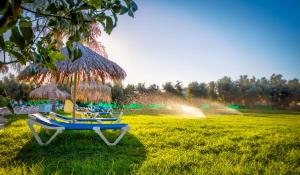 captain karas holiday apartments