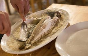 captain karas holiday apartments