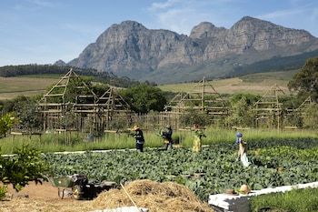 Babylonstoren,Cape Winelands>>Cape Town,5 star