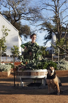 Babylonstoren,Cape Winelands>>Cape Town,5 star