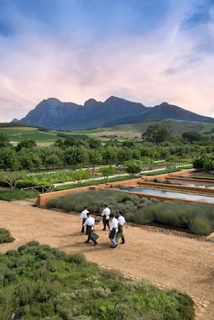 Babylonstoren,Cape Winelands>>Cape Town,5 star